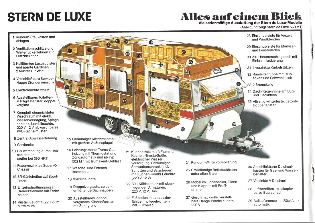 Wilk Stern DeLuxe ~1979 (1 10)