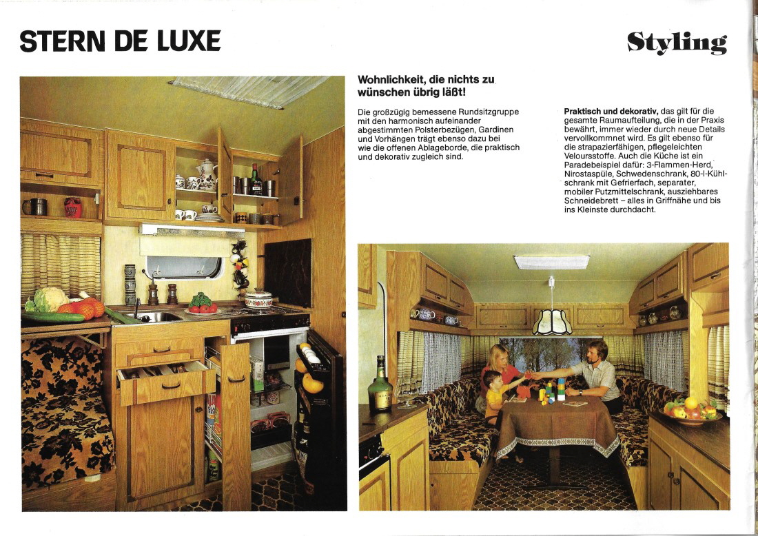Wilk Stern DeLuxe ~1979 (1 4)